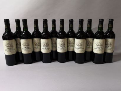 12 bouteilles	 AMIRAL de BEYCHEVELLE 2nd...