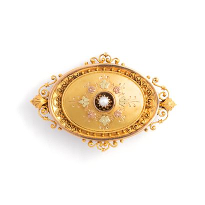 Polychrome 18K gold 750‰ brooch, oval shape,...