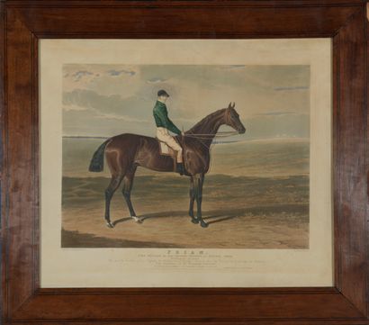 null D’après John Frederick HERRING (1795-1865) 

- Priam, Winner of the Derby Stakes...