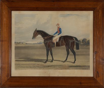 null D’après John Frederick HERRING (1795-1865) 

- Priam, Winner of the Derby Stakes...