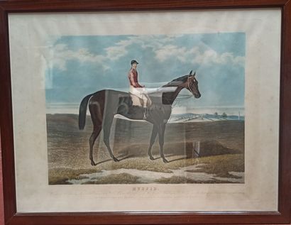 null Lot of prints on horsemen including : 

- After J. FERNELEY, Riddlesworth, color...