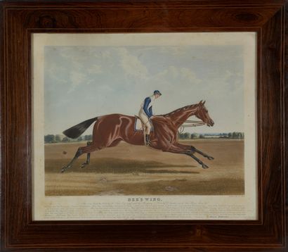 null John HARRIS (1811-1865), Charles HUNT (18037-1877)

- Blue Bonnet, The Winner...