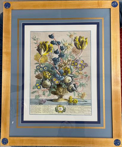 null Henry Fletcher after Peter Casteels

Bunch of flowers 

Two engravings in colors,...