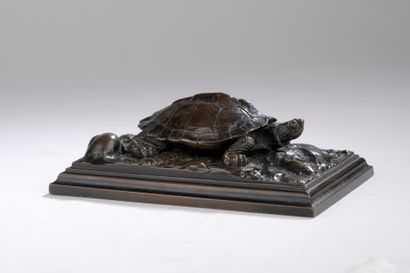 null Antoine-Louis Barye (1795-1875) 

Turtle (on square plinth)

Circa 1857-1875,...