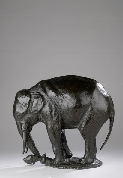 null Gustav Adolphe Hierholtz (1877-1954) 

Éléphant arrachant une souche

Bronze...