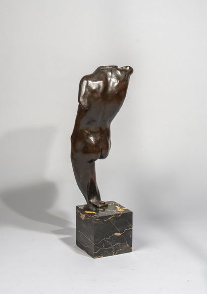 null Alfred Pina (1883-1966) 

Torse d’homme

Bronze à patine brun rouge

Signé "...