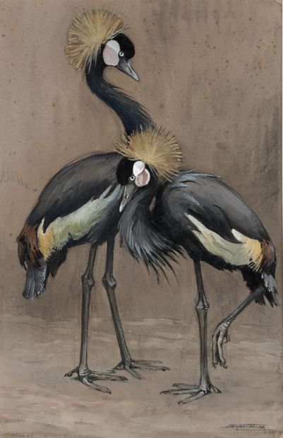 null Jacques Cartier (1907-2001) 

Cranes

Watercolor, gouache and pencil 

Signed...
