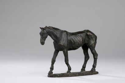 Herbert Haseltine (1877-1962) 
Cheval 
Bronze...