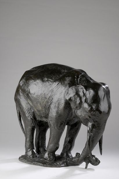 null Gustav Adolphe Hierholtz (1877-1954) 

Elephant tearing off a stump

Bronze...