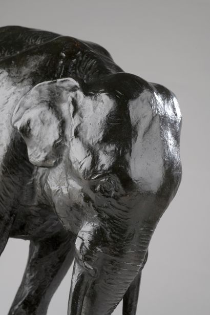 null Gustav Adolphe Hierholtz (1877-1954) 

Elephant tearing off a stump

Bronze...