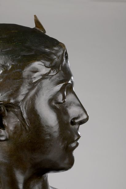 null Alexandre Falguière (1831-1900) 

Diane

Bronze bust with brown patina

Signed...
