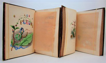 null Grandville, J. J. - The Animated Flowers. Text by Alph. Karr, Taxile Delord...