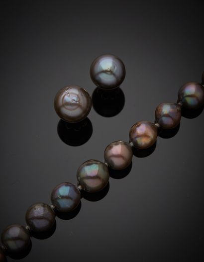 null Necklace of cultured pearls of the South Seas Necklace of cultured pearls of...