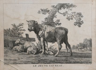 null D'après Karel DUJARDIN (c.1626-1678)
Moutons
Deux eaux-fortes sous-verre.
30...