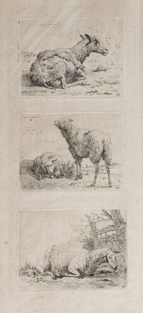 null D'après Karel DUJARDIN (c.1626-1678)
Moutons
Deux eaux-fortes sous-verre.
30...