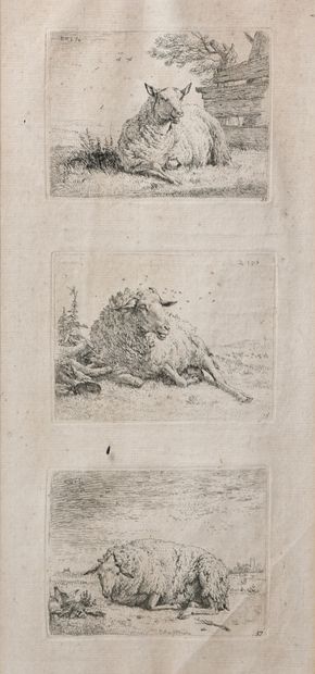 null D'après Karel DUJARDIN (c.1626-1678)
Moutons
Deux eaux-fortes sous-verre.
30...