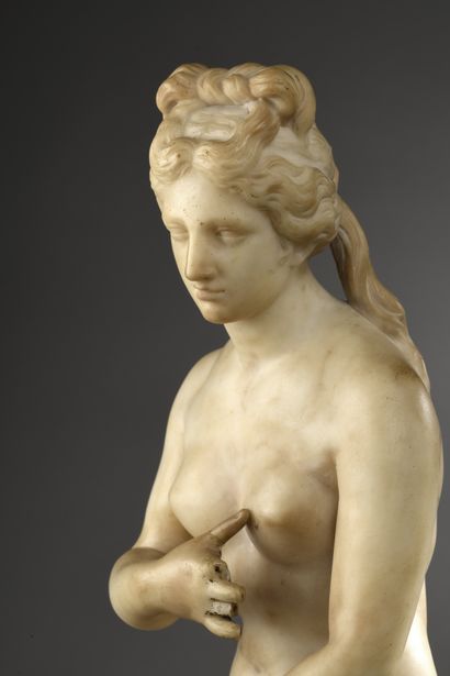 null ITALIAN school of the early nineteenth century after the antique
Venus capitoline...