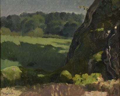 null Eugène Robert POUGHÉON (1886-1955)
Paysage au rocher
Huile sur carton. 
Signée...