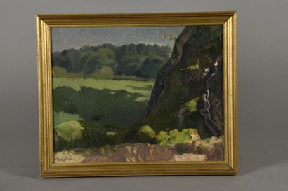 null Eugene Robert POUGHÉON (1886-1955)
Landscape with a rock
Oil on cardboard. 
Signed...