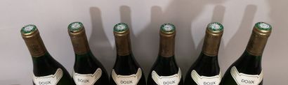 null 6 bottles MONTLOUIS 1985 "Doux" - Martin CHRISTIAN 
Labels slightly marked....