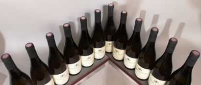 null 12 bouteilles CHARDONNAY - Sélection BOKOBSA 
Sans millésime 
Étiquettes légèrement...