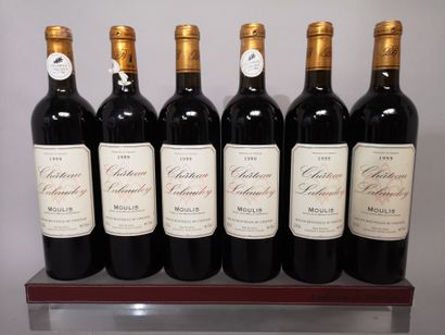 null 6 bouteilles Château LALAUDEY 1999 - Moulis