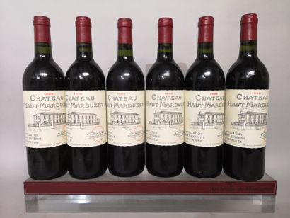 null 6 bouteilles Château HAUT MARBUZET 1996 - Saint Estèphe