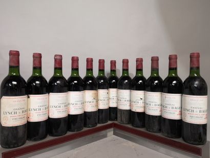 null 12 bouteilles Château LYNCH BAGES 1981 - 5e Gcc Pauillac 
Étiquettes légèrement...