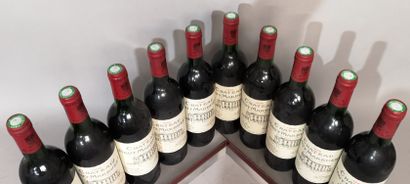 null 10 bouteilles Château HAUT MARBUZET 1995 - Saint Estèphe 
2 niveaux base goulot,...