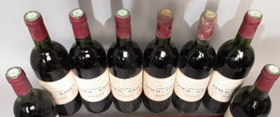 null 8 bouteilles Château LYNCH BAGES 1982 - 5e Gcc Pauillac 
Étiquettes légèrement...