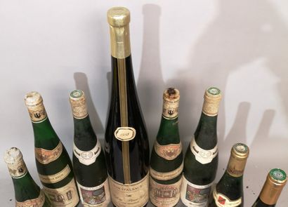 null 21 bouteilles (dont 1 magnum) ALSACE DIVERS 
Riesling, Gewurztraminer, Pinot...