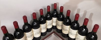 null 12 bottles Château HAUT MARBUZET 1996 - Saint Estèphe