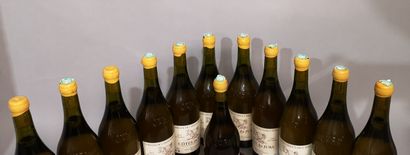 null 12 bouteilles CÔTES du JURA - Domaine de l'AIGLE à DEUX TETES 2007 
3 "Derrière...