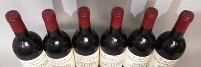 null 6 bottles Château HAUT MARBUZET 1996 - Saint Estèphe