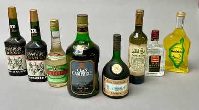 null 8 bouteilles : CLAN CAMPBELL 2l, ARAK FAKRA, Framboise REGNIER x 2, liqueur...
