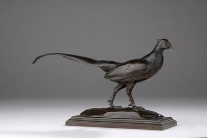 null Antoine Louis Barye (1795-1875)
Pheasant (head turned to the right)
Cast by...