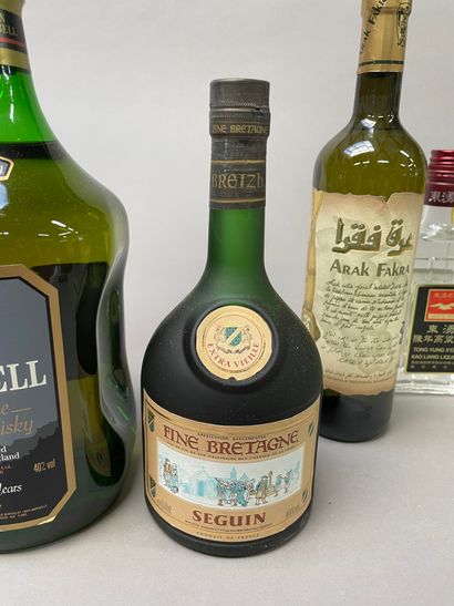 null 8 bouteilles : CLAN CAMPBELL 2l, ARAK FAKRA, Framboise REGNIER x 2, liqueur...