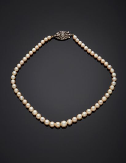 null Necklace of falling cultured pearls strung on wire, 18K white gold 750‰ mandorla-shaped...