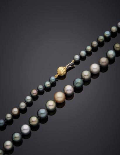 Collier de perles de culture de couleur variée,...