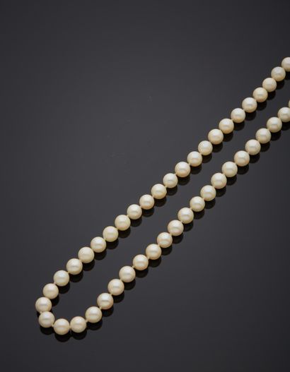 Necklace of choker cultured pearls strung...