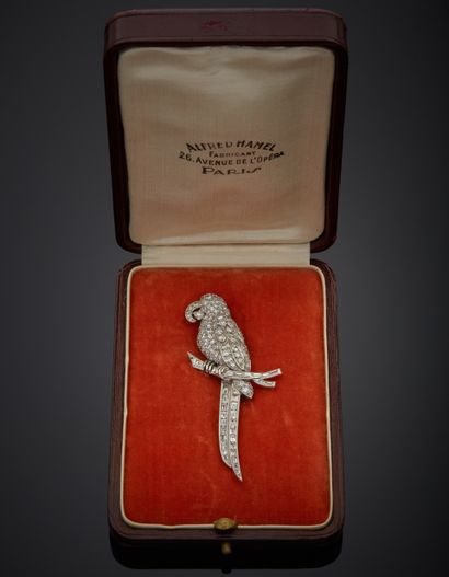 null 18K white gold 750‰ and platinum 850‰ lapel clip, depicting a parrot sitting...