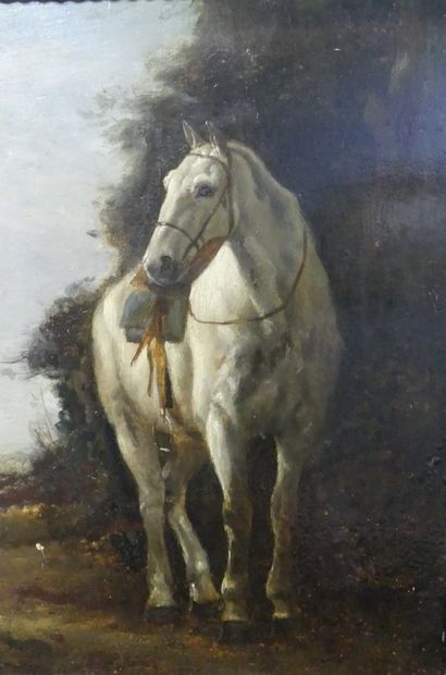 null École du XIXe siècle
Cheval blanc
Huile sur panneau
33 x 21 cm
