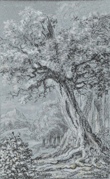 null École HOLLANDAISE du XVIIIe siècle
Paysage au grand arbre
Pierre noire et rehauts...
