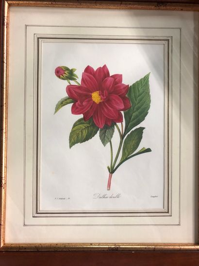 Lot of framed pieces including bouquets of...