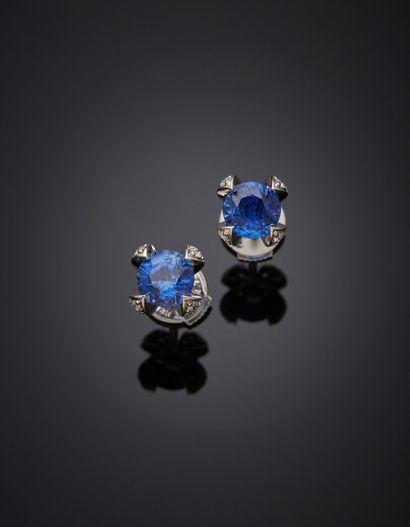 null GAREL - Pair of ear studs in 18K white gold 750‰, set with sapphires (heated),...