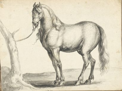 null 17th century HOLLAND school.
Horses in profile
Pair of drawings, black and gray...