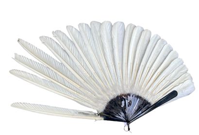 null White pelican, Europe, circa 1930
Large asymmetrical pelican feather fan.
Brown...