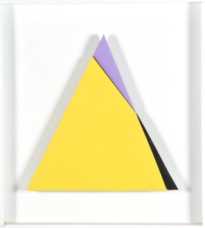 Joël FROMENT (1938)

Triangle 2, 2010

Acrylique...