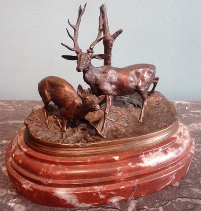 D'après Pierre Jules MENE (1810 – 1879) Cerf et biche 

Bronze à patine brune signée....