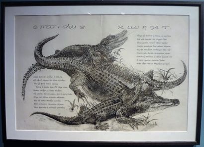 null Pierre-Yves TREMOIS (1921)

Les crocodiles

Estampe signée avec annotations...